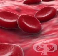 ���� � ���� ������� �������������� � ���������� ����